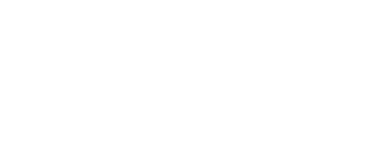 LEAD Webinar